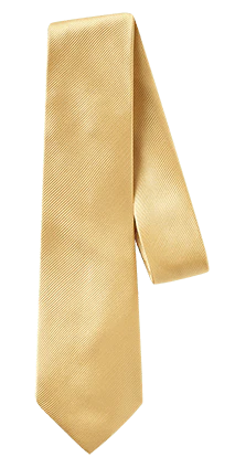 Daffodil Silk Necktie - Image 3
